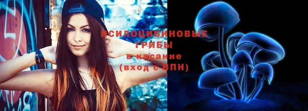 spice Бугульма