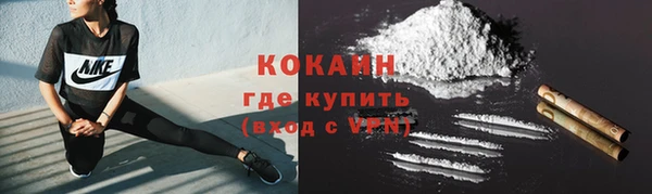 дурь Бронницы