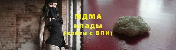 прущие грибы Тайга