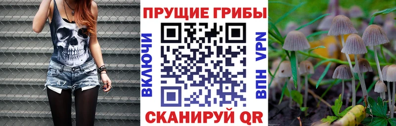 Галлюциногенные грибы Magic Shrooms  Заполярный 